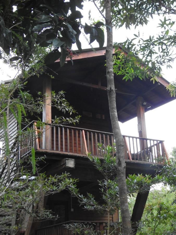 Wilpattu Tree House Acomodação com café da manhã Nochchiyagama Exterior foto