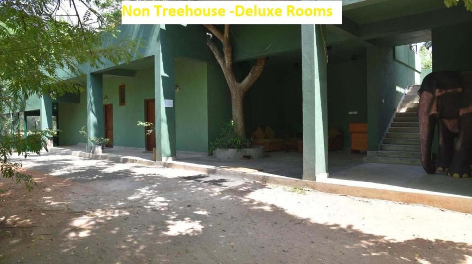 Wilpattu Tree House Acomodação com café da manhã Nochchiyagama Exterior foto