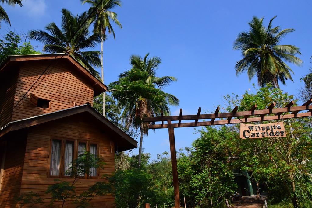 Wilpattu Tree House Acomodação com café da manhã Nochchiyagama Exterior foto